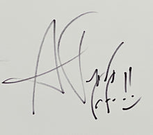 Load image into Gallery viewer, Autographed Print - BMW M6  GT3 Signed by 4 drivers - BMW CCA Foundation