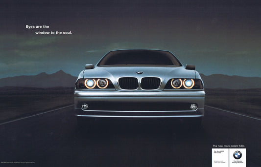Eyes are the window to the soul. BMWNA Advertising Art